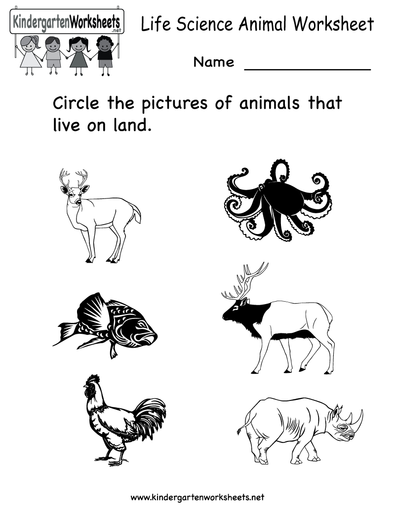 Science Printables For Kids | Life Science Animal Worksheet - Free | Science Worksheets For Kindergarten Free Printable