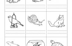 Stempelkaart | Pets Preschool Theme | Kindergarten Worksheets | Pets Worksheets Printables