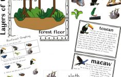 The Best Rainforest Printable Activities For Kids - Natural Beach Living | Rainforest Printable Worksheets