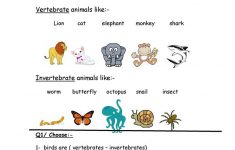 Vertebrate &amp; Invertebrate Worksheet - Free Esl Printable Worksheets | Free Printable Worksheets On Vertebrates And Invertebrates