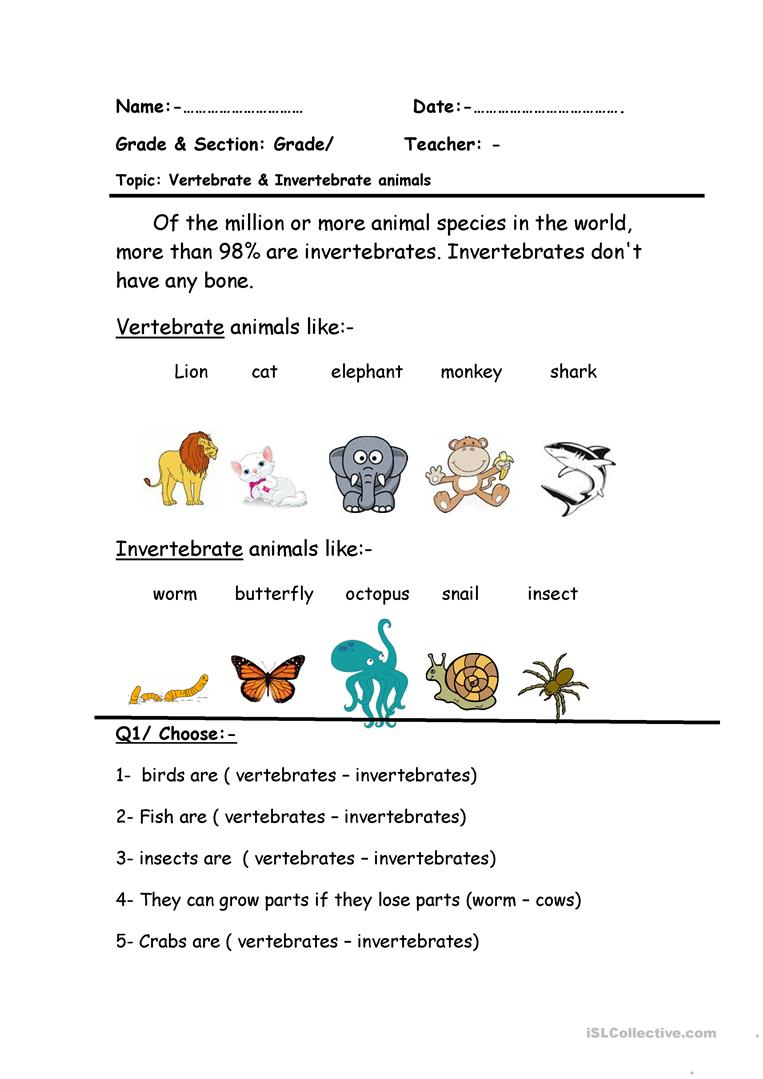 Printable Vertebrates And Invertebrates