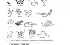 Vertebrates And Invertebrates Worksheet | Art | Vertebrates | Free Printable Worksheets On Vertebrates And Invertebrates