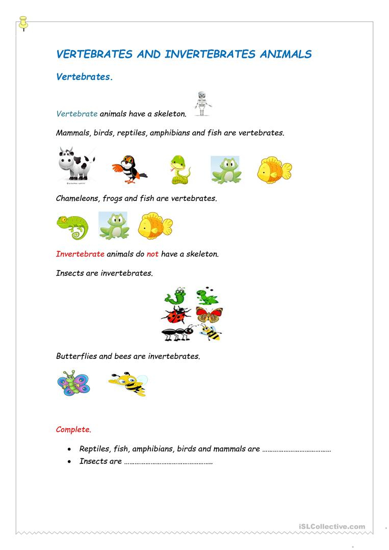 Vertebrates And Invertebrates Worksheet - Free Esl Printable | Free Printable Worksheets On Vertebrates And Invertebrates