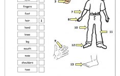 Vocabulary Matching Worksheet - Body Parts (1) Worksheet - Free Esl | Free Printable Worksheets Kindergarten Body Parts