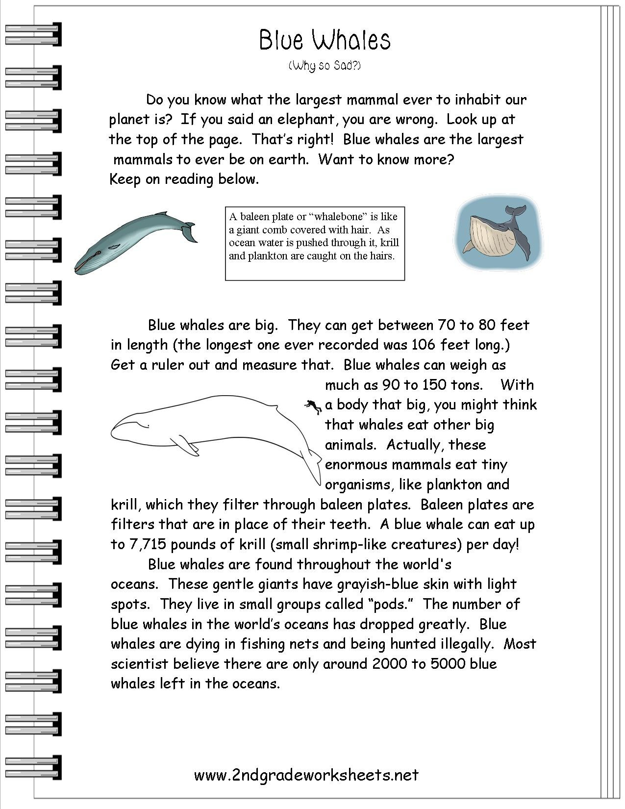 Worksheet : Ks2 Science Worksheets Free Printable Multiplication And | Science Worksheets Ks2 Printable