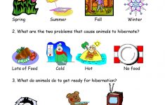 Worksheets On Bear Hibernation - Google Search | Bear Hibernation | Free Printable Hibernation Worksheets