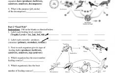 Worksheets On Food Chains And Food Webs | Science | Food Web | Food Chain Printable Worksheets